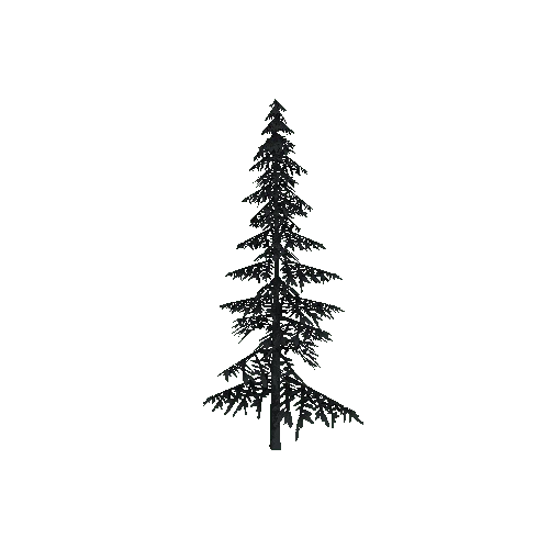 ConiferTreeSmall02LOD3 (TVE Backup)